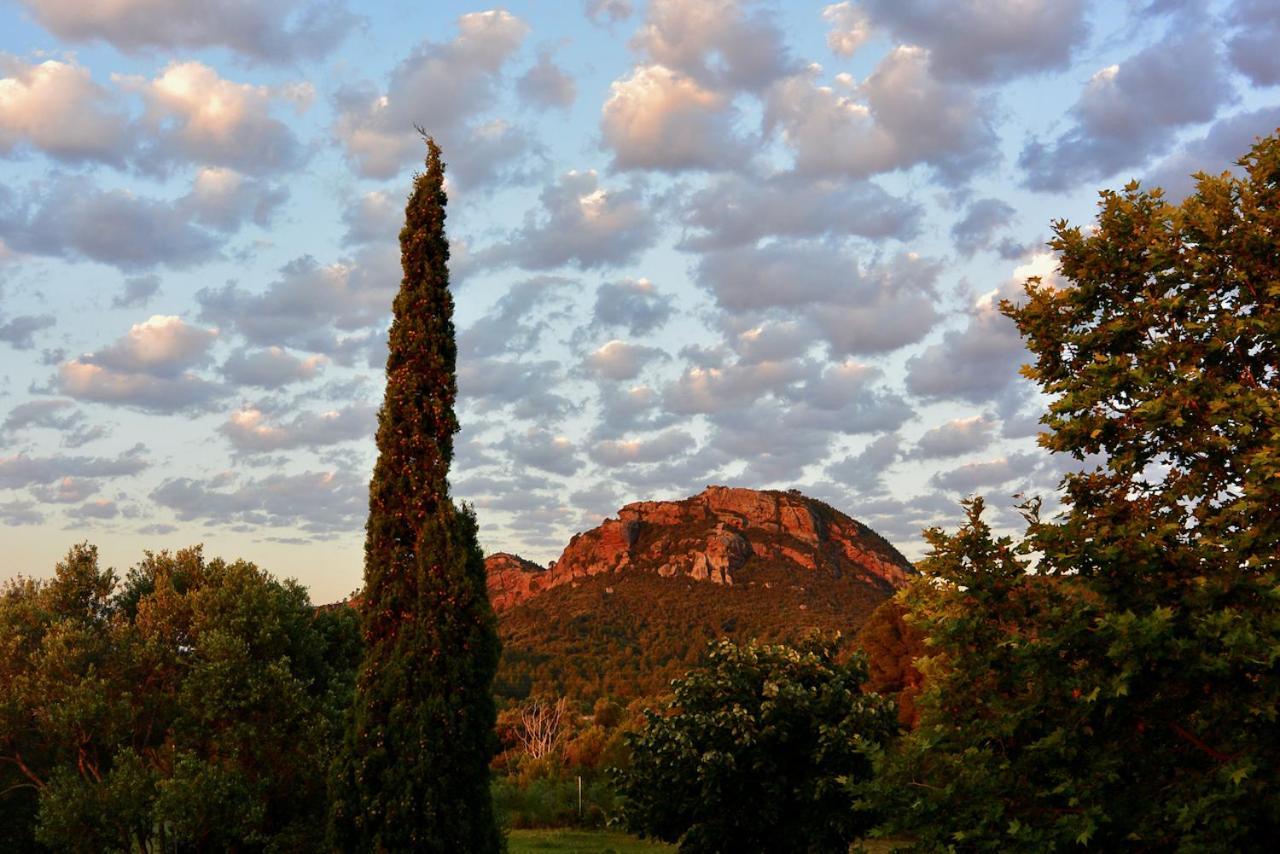 Apartamento L'Albaida, Tranquility, Views Of Sea And Mountains Vilanova d'Escornalbou Exterior foto