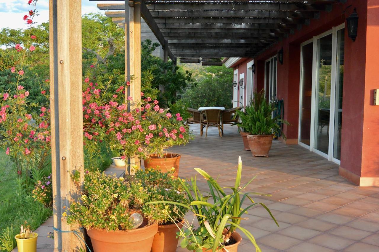 Apartamento L'Albaida, Tranquility, Views Of Sea And Mountains Vilanova d'Escornalbou Exterior foto