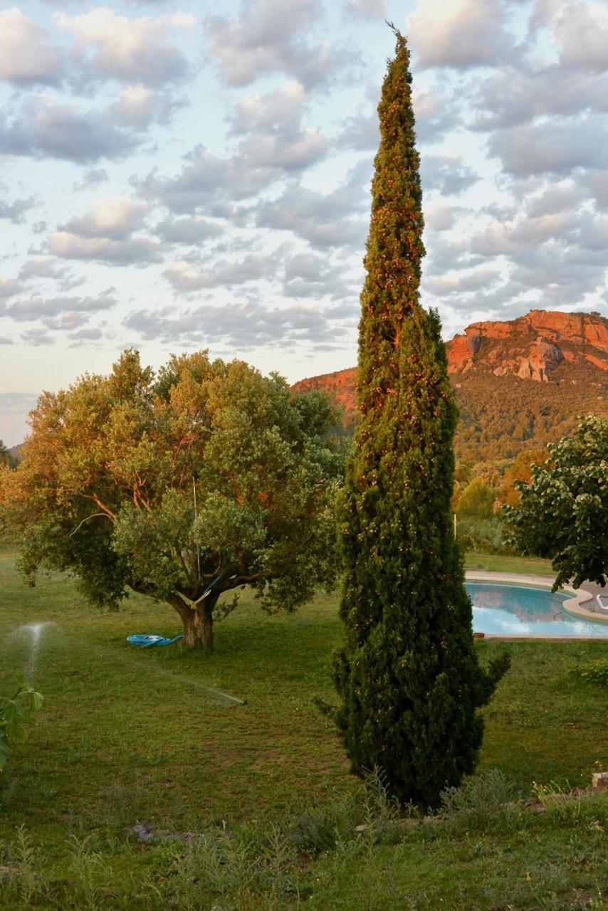 Apartamento L'Albaida, Tranquility, Views Of Sea And Mountains Vilanova d'Escornalbou Exterior foto