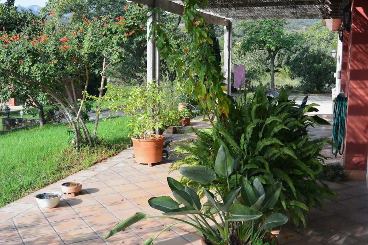 Apartamento L'Albaida, Tranquility, Views Of Sea And Mountains Vilanova d'Escornalbou Exterior foto